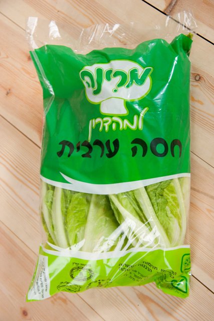 חסה ערבית